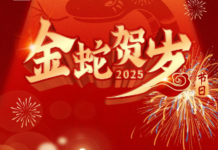 歡度春節(jié)，喜迎新春。