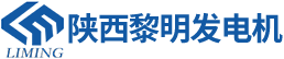 陕西黎明发电设备公司_Logo