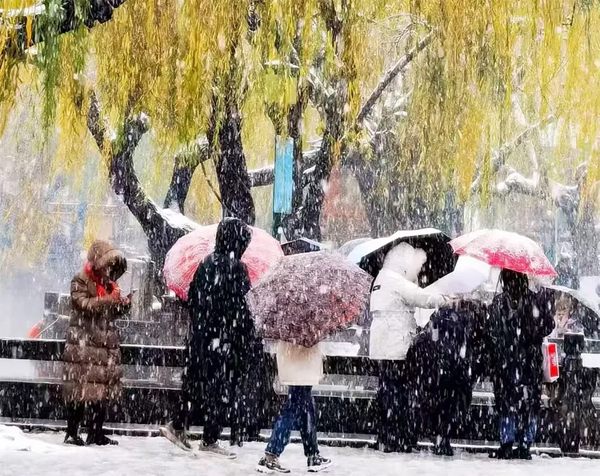 大雪您快來(lái)吧(陶俊峰攝.岳守平文)