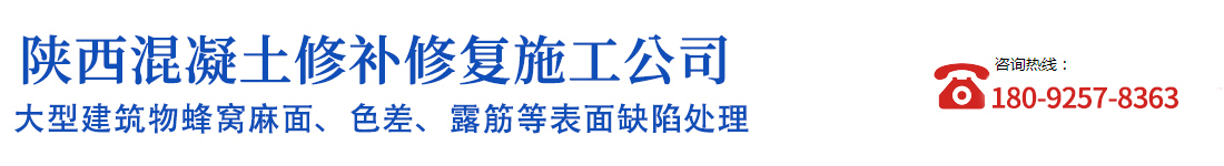 陜西混凝土修復工程公司_Logo