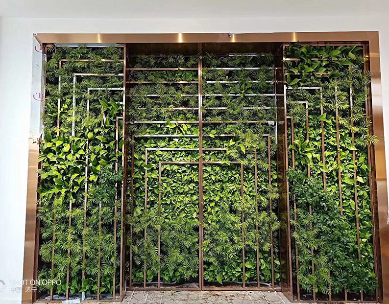 成都墙体绿化中植物的种植方法