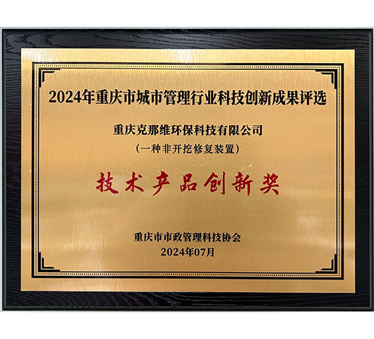 技術(shù)產(chǎn)品創(chuàng)新獎(jiǎng)