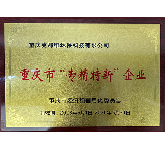 重慶市專精特新企業(yè)