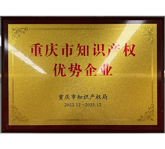 重慶市知識產(chǎn)權(quán)優(yōu)勢企業(yè)