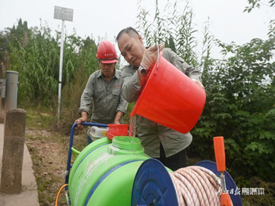 水庫堤壩白蟻防治