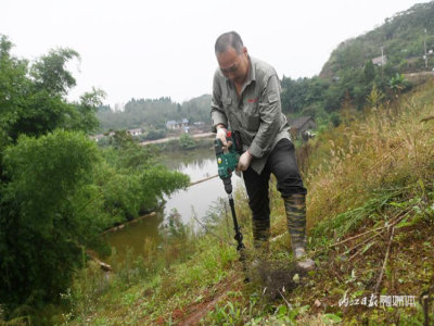 水库堤坝白蚁防治