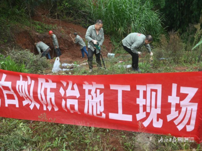 水庫(kù)堤壩白蟻防治