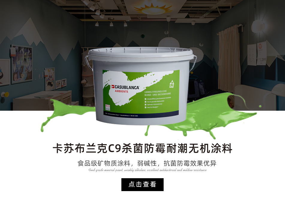 卡苏布兰克C9杀菌防霉耐潮无机涂料B1/B3