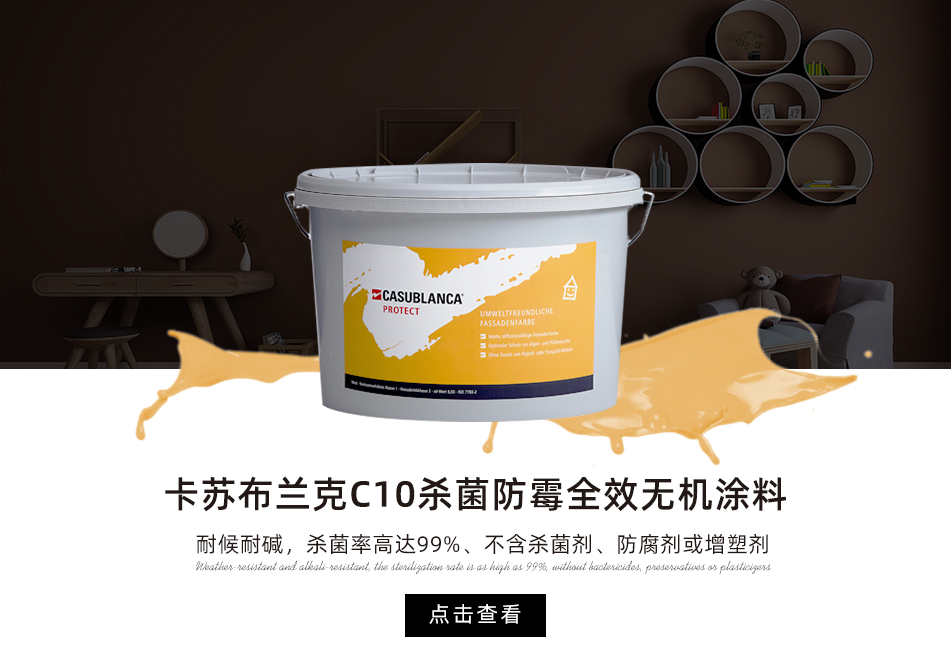 卡苏布兰克C10杀菌防霉全效无机涂料