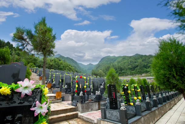 西安九龙山墓园图片图片