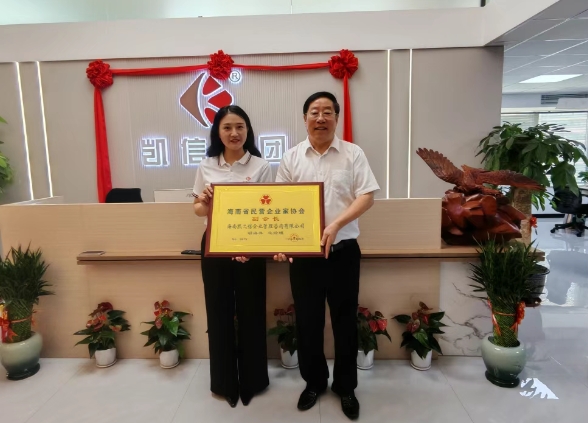 星光熠熠，荣耀加冕！热烈祝贺凯信集团海南公司被海南省民营企业家协会授予财务规划专业委员会及海南省民营企业家协会副会长单位