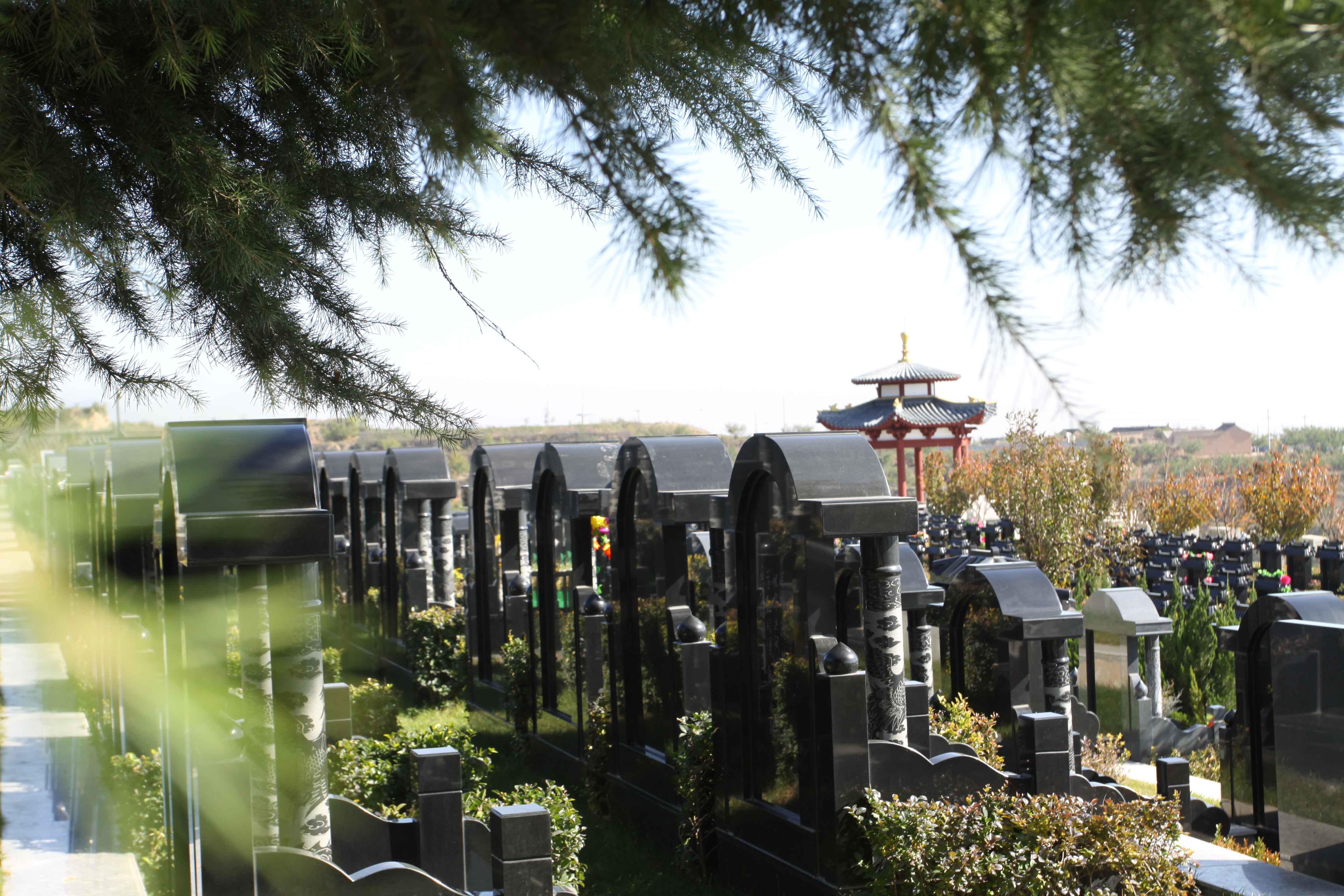 龙山永久墓园图片