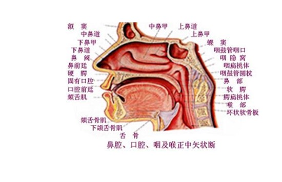 鼻甲肥大怎么办如何治疗新疆一建医院给您解答