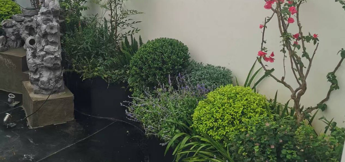 福州金山筑能辦公樓屋頂花園施工