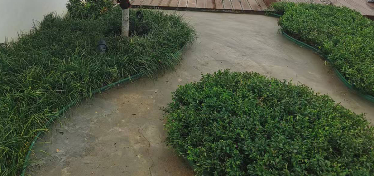 福州金山筑能辦公樓屋頂花園施工