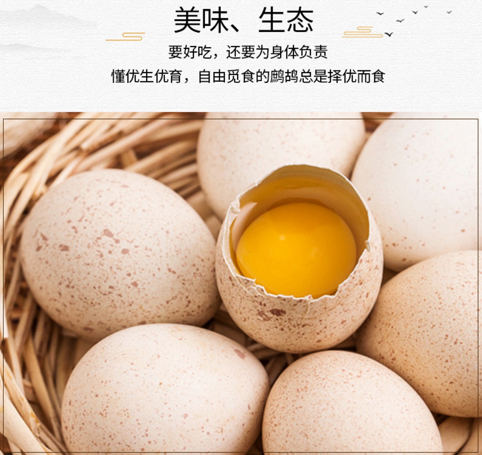 湖南鹧鸪蛋批发讲述其营养价值